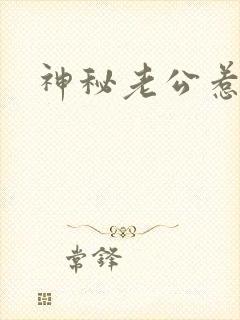 神秘老公惹不起