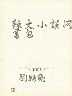 辣文小说网第二书包
