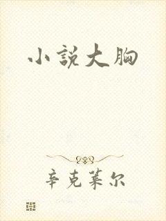 小说大胸