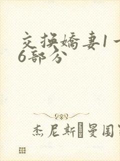 交换娇妻1一36部分