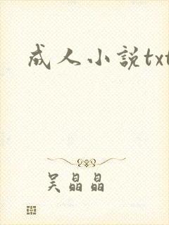 成人小说txt