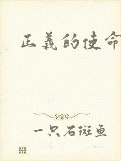 正义的使命小说