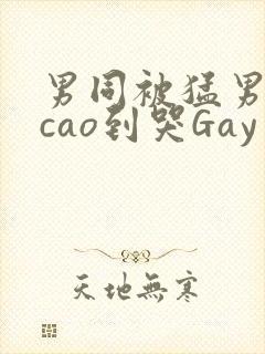 男同被猛男房东cao到哭Gay