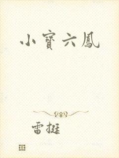 小宝六凤