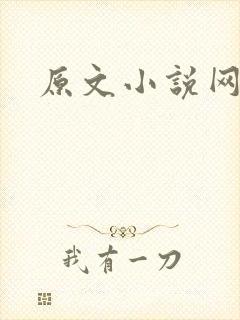 原文小说网