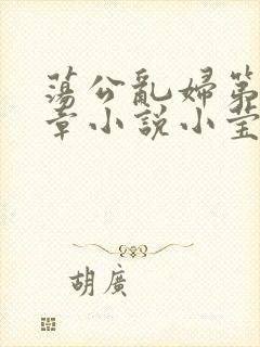荡公乱妇第51章小说小莹