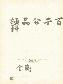 极品公子百度百科