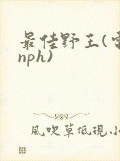 最佳野王(电竞nph)
