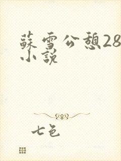 苏雪公憩28篇小说