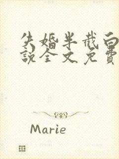 失婚半截白菜小说全文免费阅读