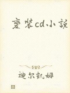 变装cd小说