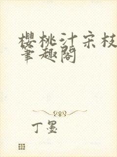 樱桃汁宋枝江野笔趣阁