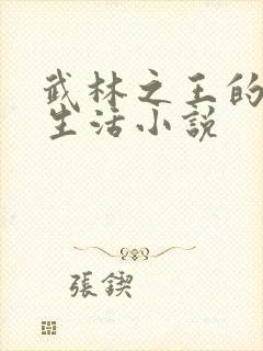 武林之王的退隐生活小说