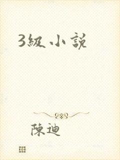 3级小说