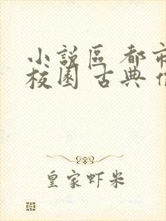 小说区 都市 校园 古典 偷拍