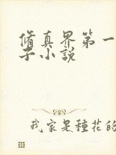 修真界第一病秧子小说