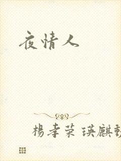 夜情人