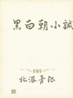 黑白朝小诚