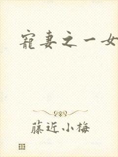 宠妻之一女二夫