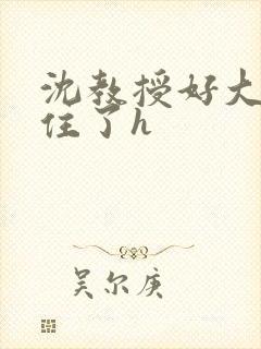 沈教授好大含不住了h