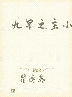 九星之主小说