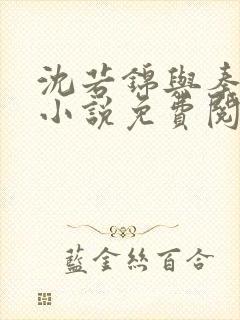 沈若锦与秦琅的小说免费阅读