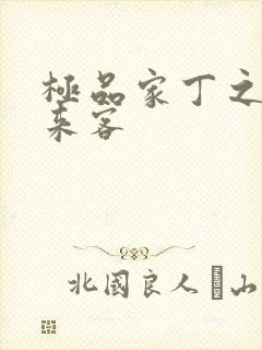 极品家丁之远方来客