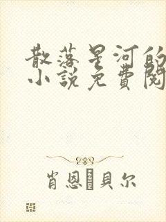 散落星河的记忆小说免费阅读全文