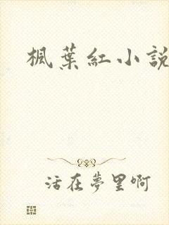 枫叶红小说