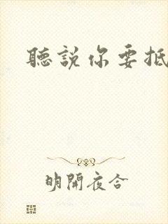 听说你要抵抗我