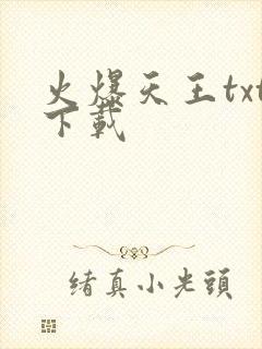 火爆天王txt下载