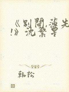 《别闹,薄先生!》沈繁星