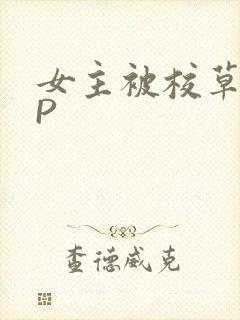 女主被校草们NP