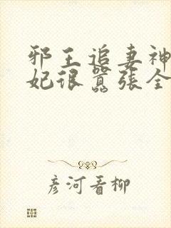 邪王追妻神医狂妃很嚣张全文免费