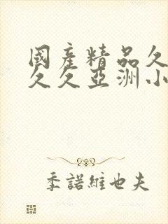 国产精品久久久久久亚洲小说