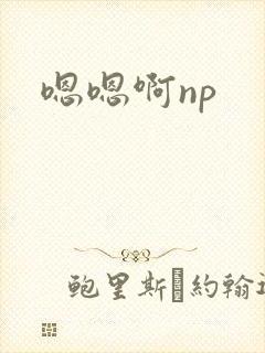 嗯嗯啊np