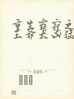 重生霸宠之摄政王爷太凶猛