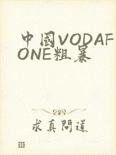 中国VODAFONE粗暴