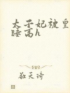 太子妃被皇上强睡高h