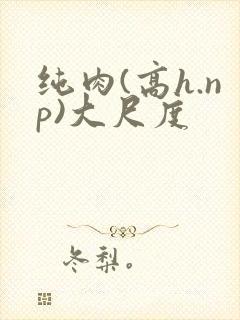 纯肉(高h.np)大尺度