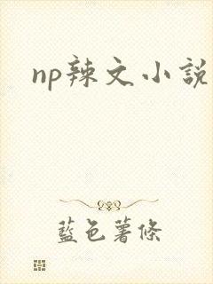 np辣文小说