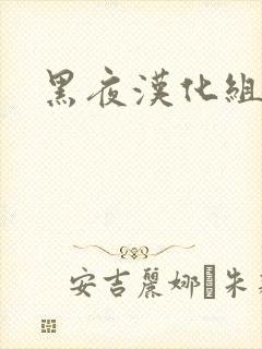 黑夜汉化组