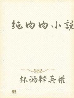 纯肉肉小说