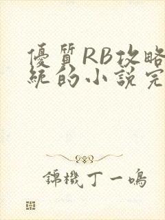 优质RB攻略系统的小说完整版