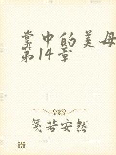 掌中的美母版主第14章