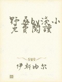 野桑by浅小说免费阅读