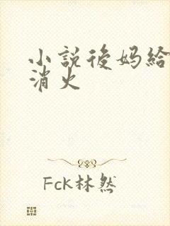 小说后妈给我消消火