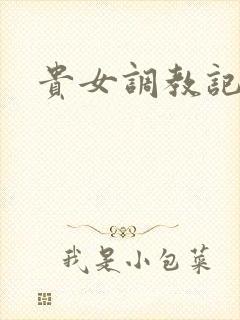 贵女调教记