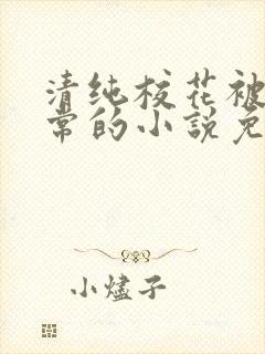 清纯校花被擒日常的小说免费阅读