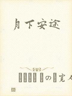 月下安途